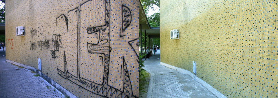 Fakultet PMF - Novi Sad, skidanje grafita i zatita sinterovanih ploica na fasadi